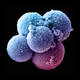 Illustration for article titled 2016 POTUS Candidates and STEM: Christie, Walker, Kasich, Gilmore
